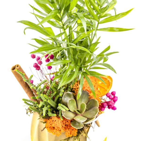 Small Botanical