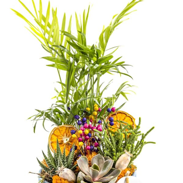 Orange Botanical