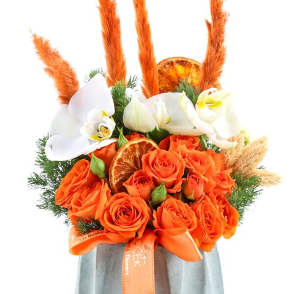 Orange Purity