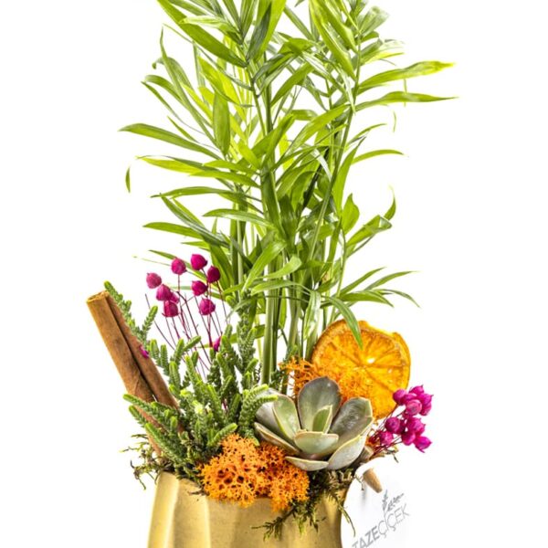 Small Botanical